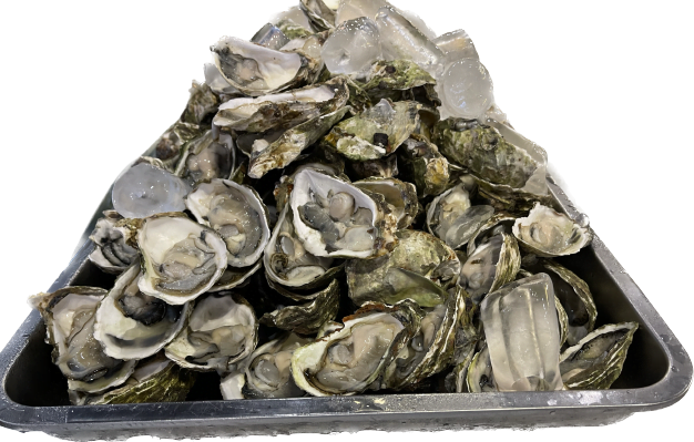 T2 1 - Buffet Quy Nhơn