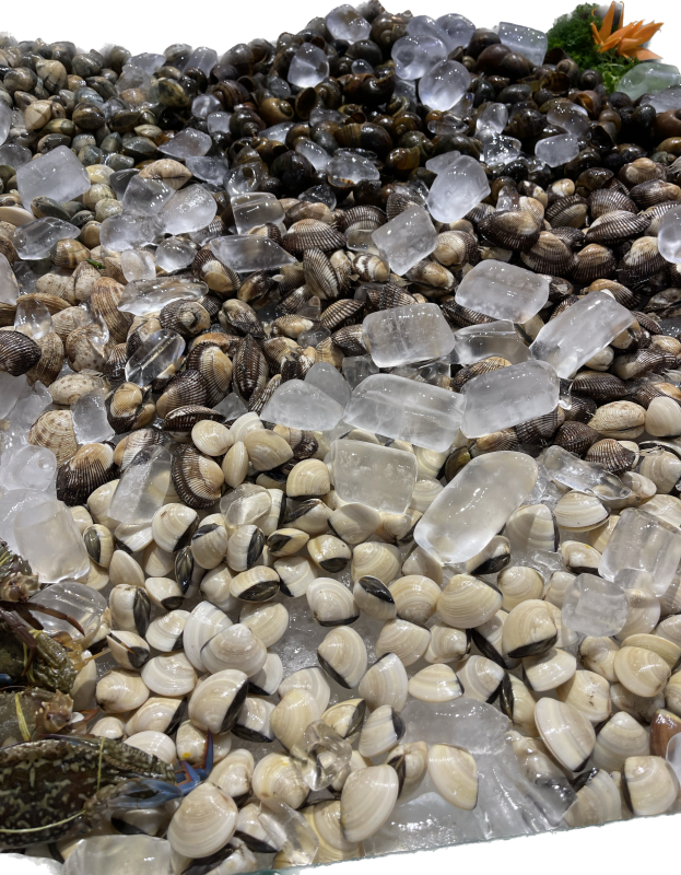 T3 - Buffet Quy Nhơn