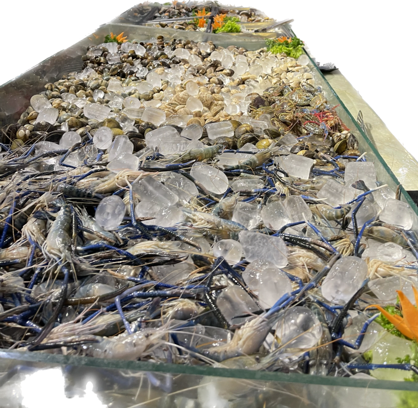 T5 - Buffet Quy Nhơn